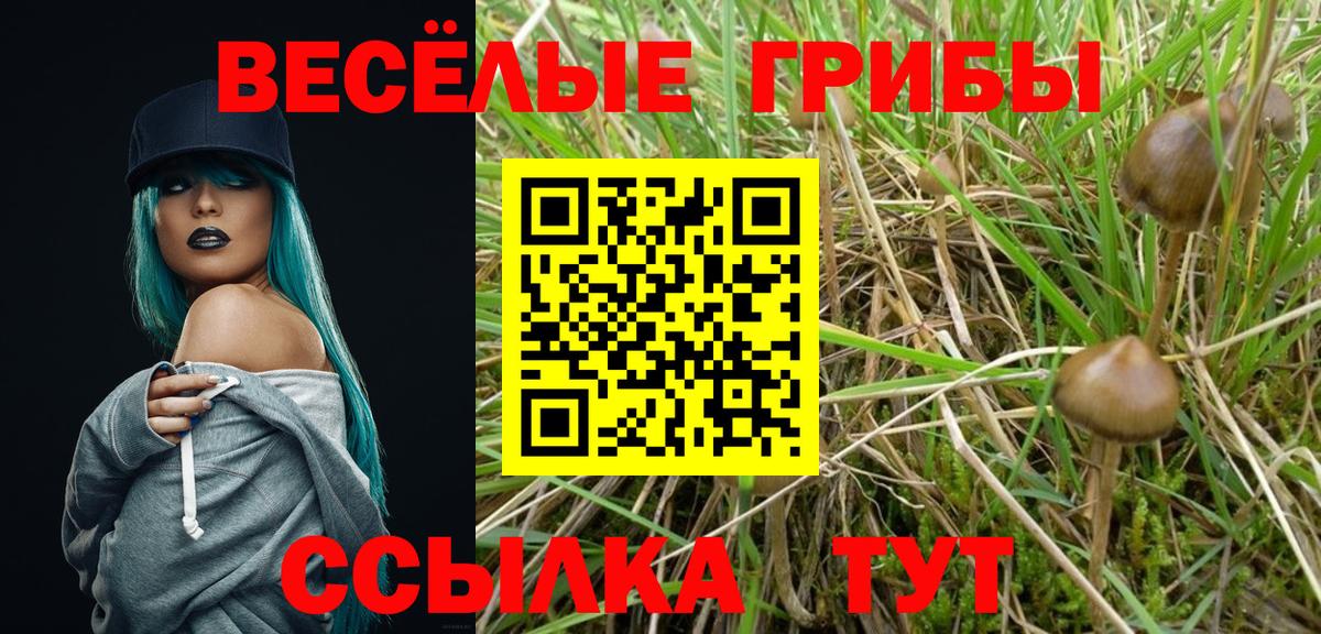 Псилоцибиновые грибы мухоморы Энгельс