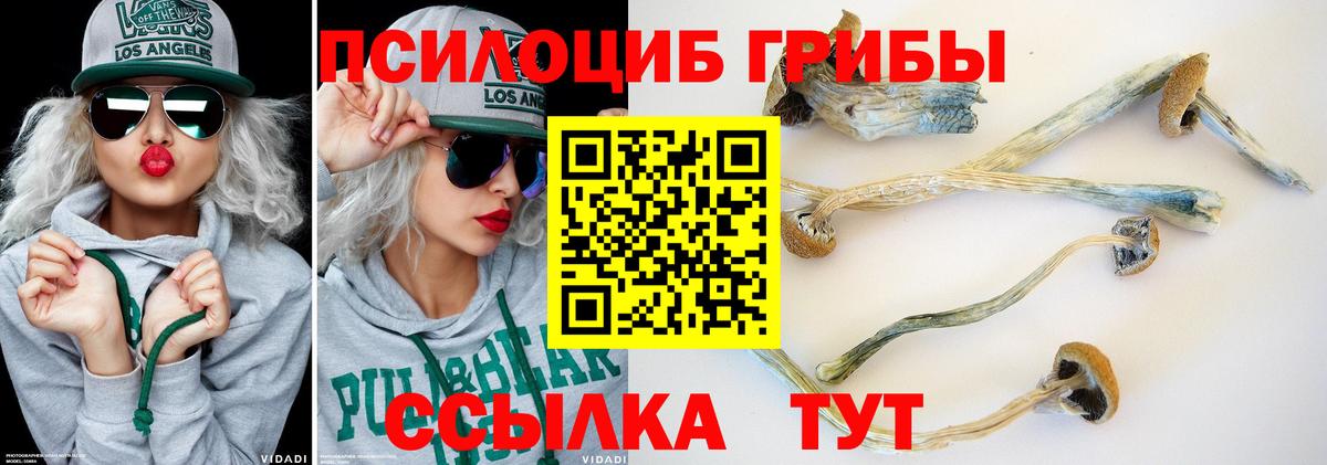 Энгельс  Галлюциногенные грибы MAGIC MUSHROOMS  где найти наркотики  Вход с VPN 